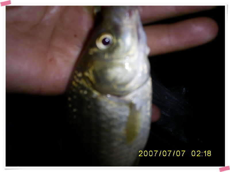 S5030903_johwang11271467.jpg