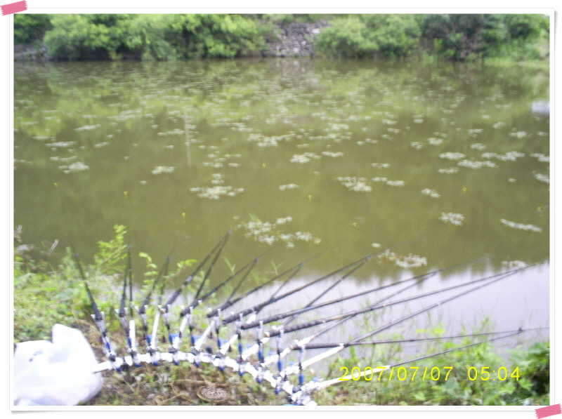 S5030904_johwang11291435.jpg
