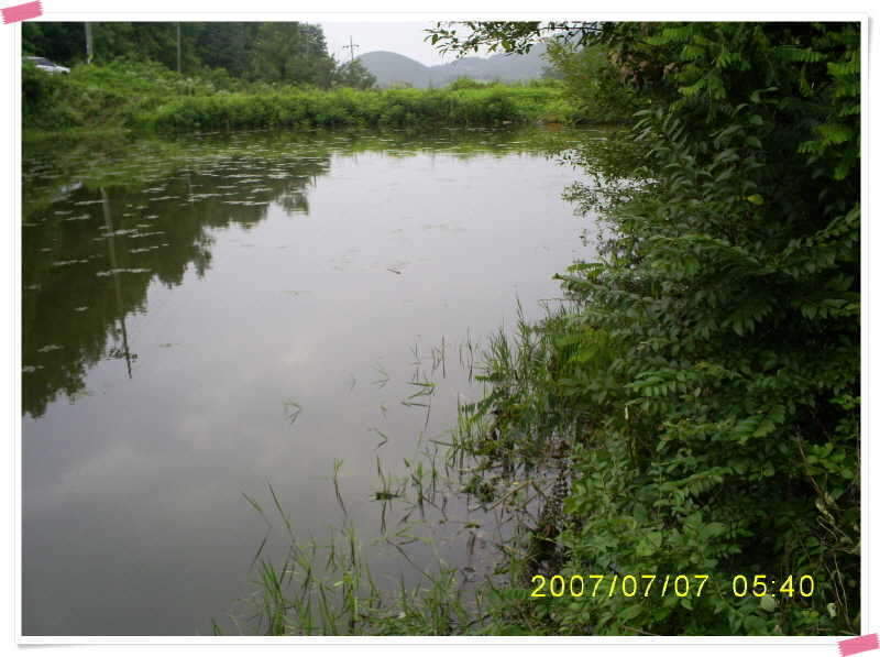 S5030905_johwang1110095.jpg