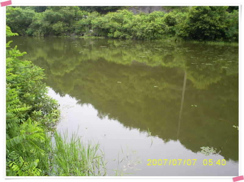 S5030906_johwang11110874.jpg