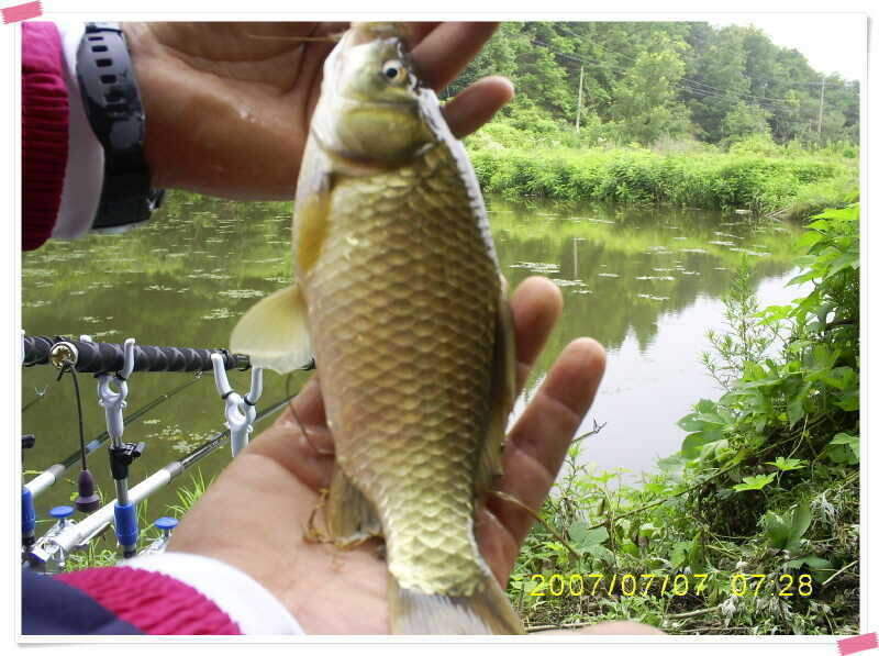 S5030908_johwang1132227.jpg