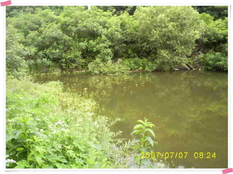 S5030912_johwang11140011.jpg
