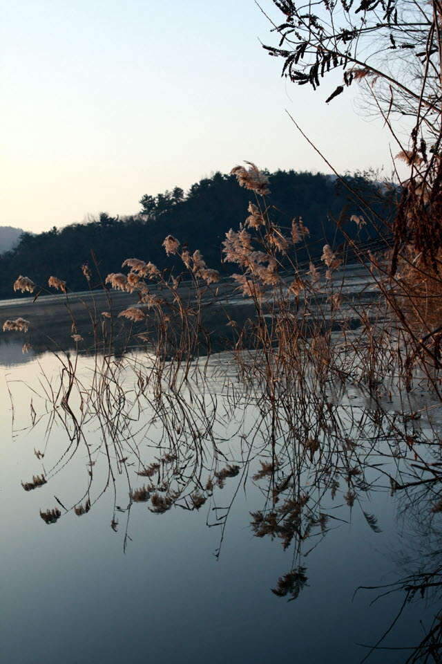 121_johwang09182420.jpg