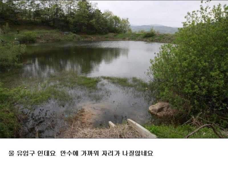21_johwang06534253.jpg