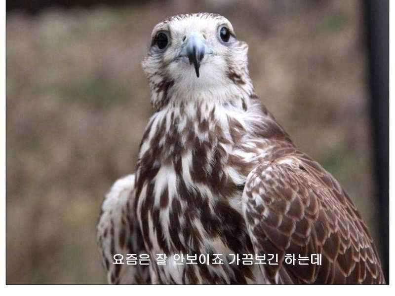 48_johwang06562592.jpg