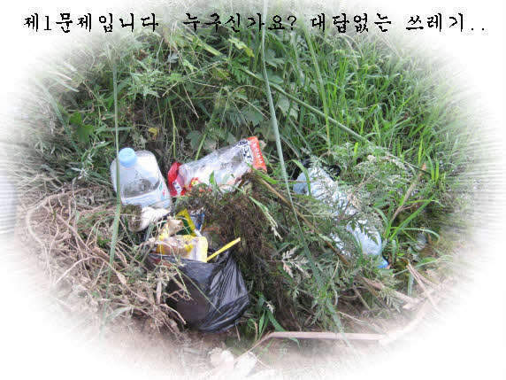 _johwang02535879.jpg