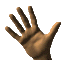 _johwang04074496.gif