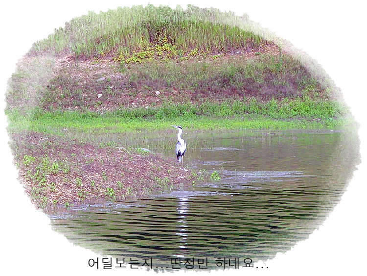 -19_johwang01313154.jpg