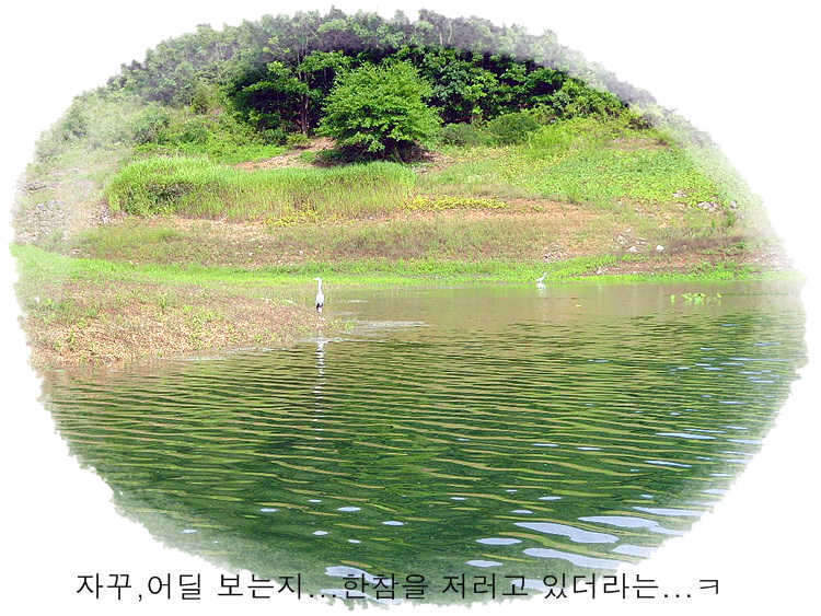 -20_johwang0131422.jpg