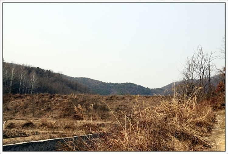 제방_johwang11073754.jpg