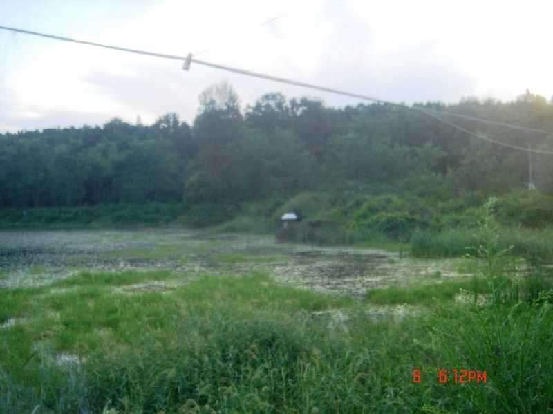 _johwang11003025.jpg
