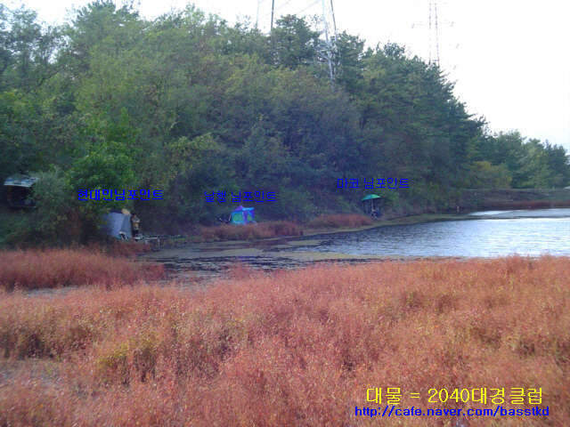 6_johwang06140986.jpg