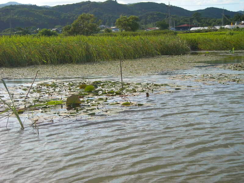_일괄편집_2 008 ~~~_johwang11043285.