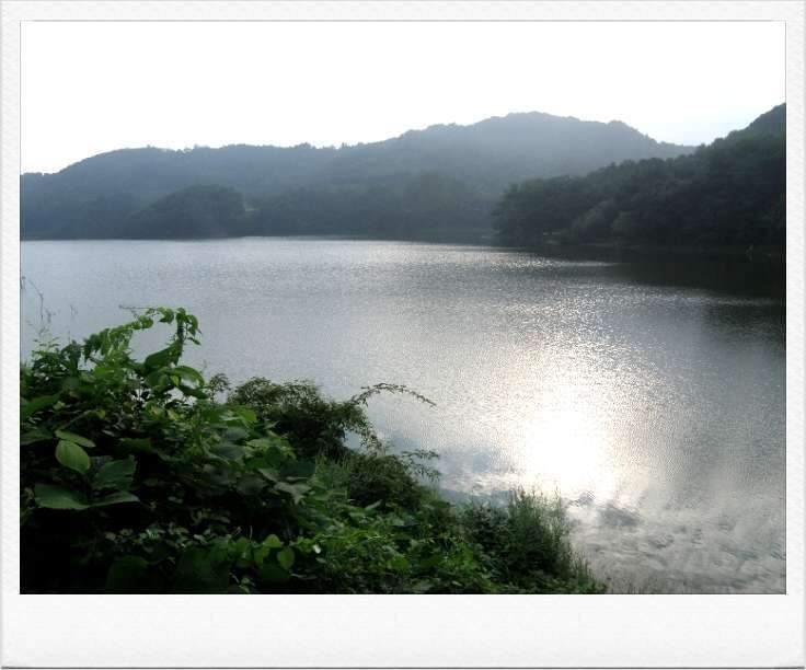 전경1_johwang06281846.jpg