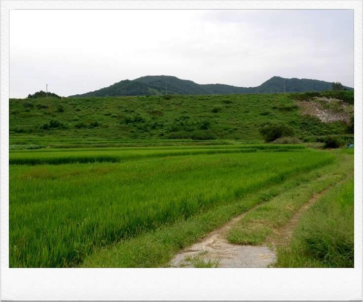 제방_johwang07255478.jpg