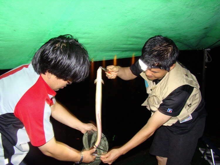 _johwang09423748.jpg
