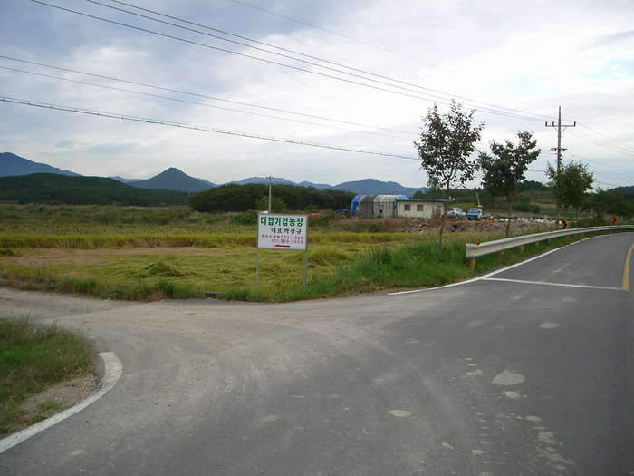 _johwang01222267.jpg