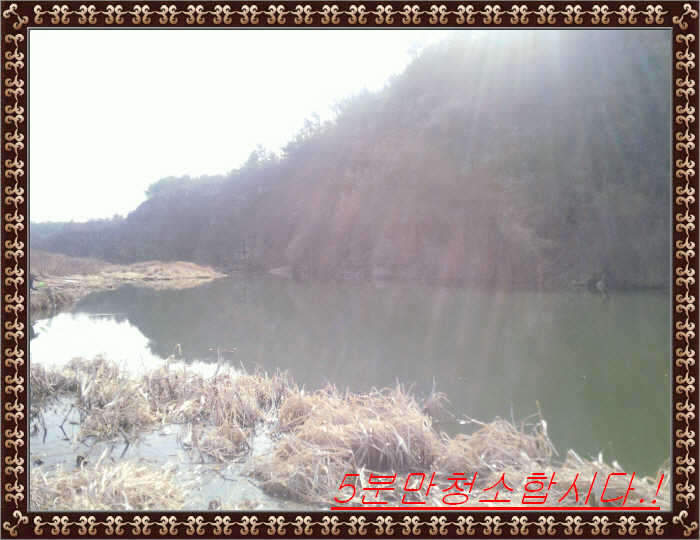 _꾸미기_좌측_johwang0959368.jpg