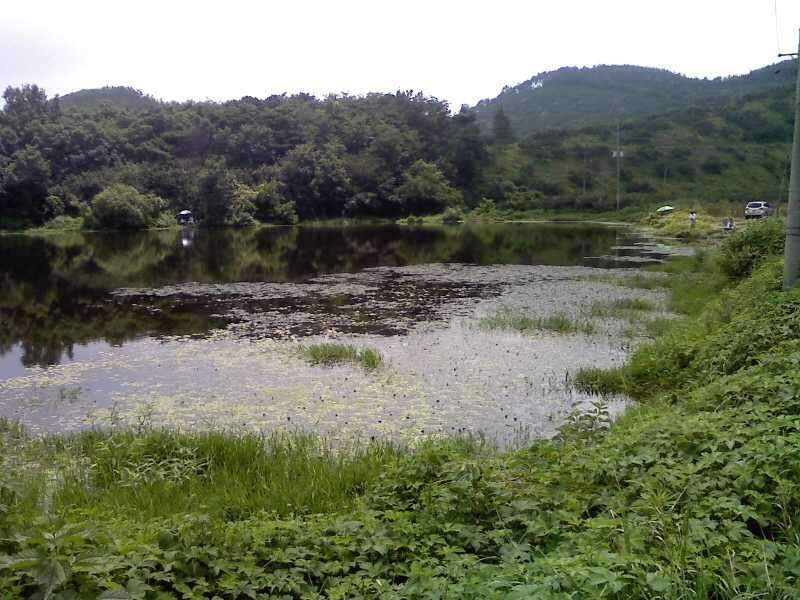 _사진090801_002_johwang09180797.jpg