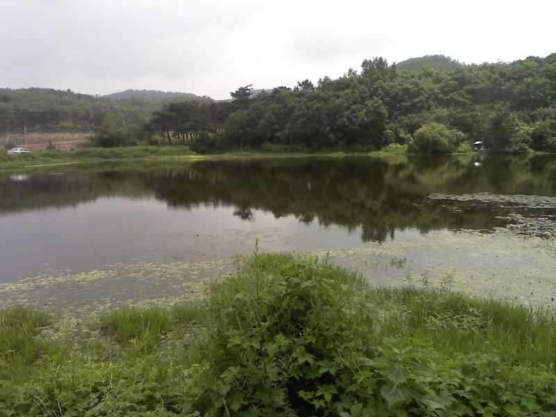 _사진090801_003_johwang09181319.jpg