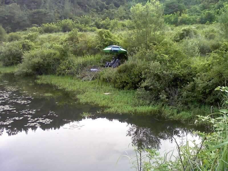 _사진090801_004_johwang09194740.jpg