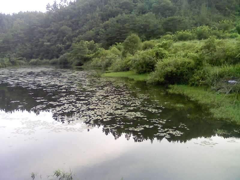 _사진090801_005_johwang0919571.jpg