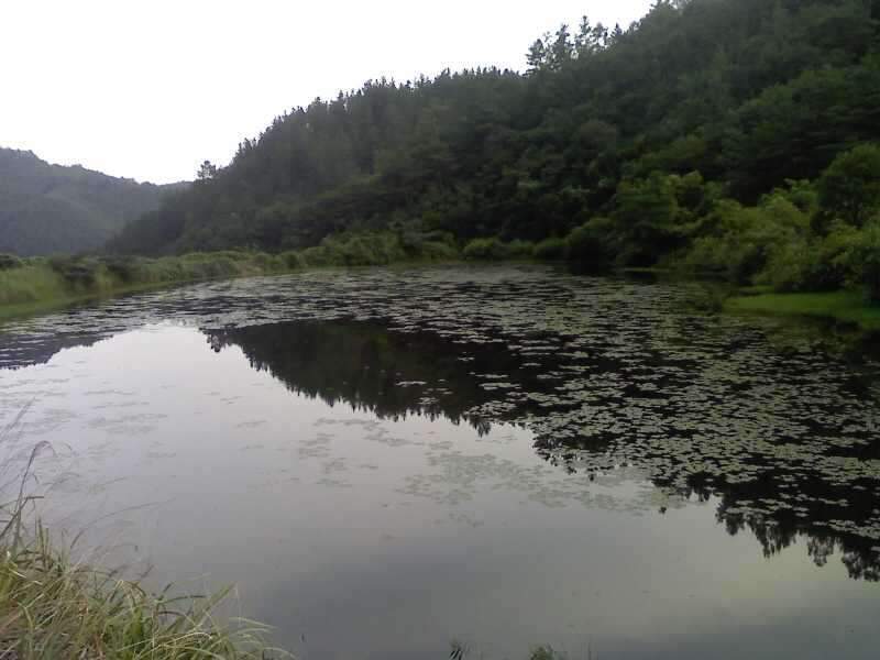 _사진090801_006_johwang09220918.jpg