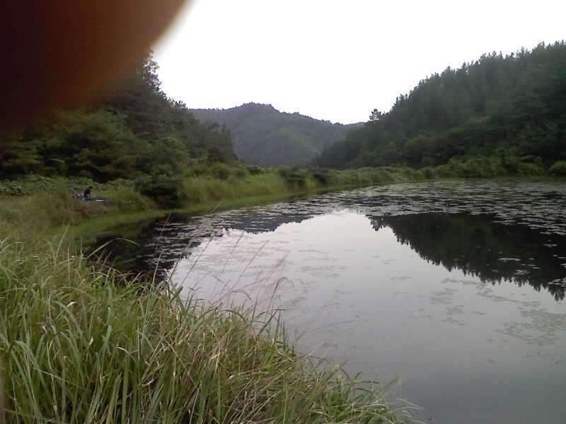_사진090801_007_johwang09221729.jpg
