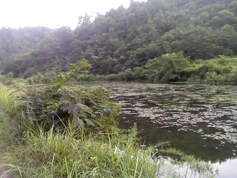 _사진090801_011_johwang09230477.jpg