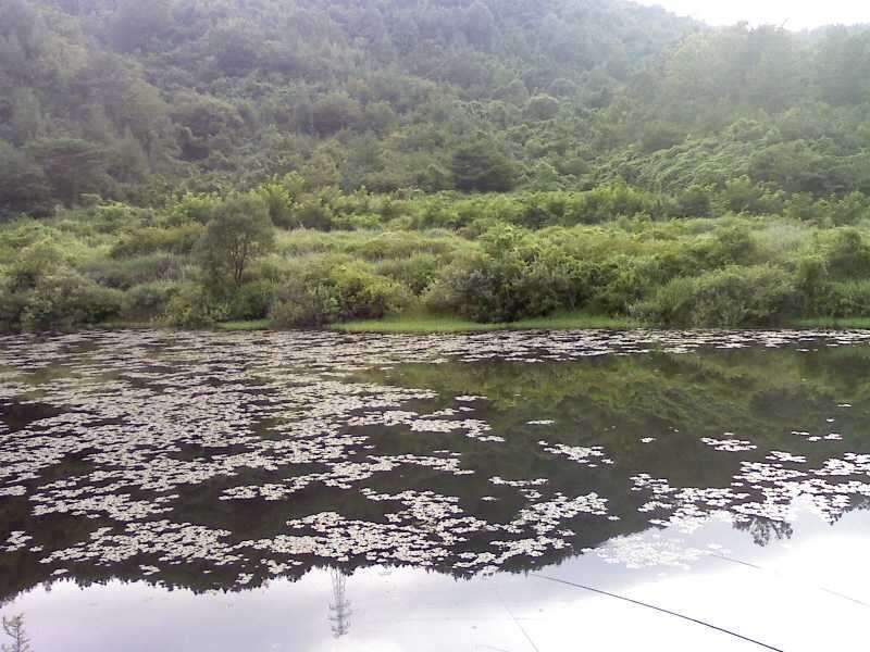 _사진090801_013_johwang09244062.jpg