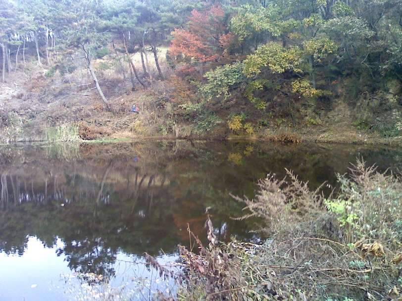 _사진091108_008_johwang08270515.jpg