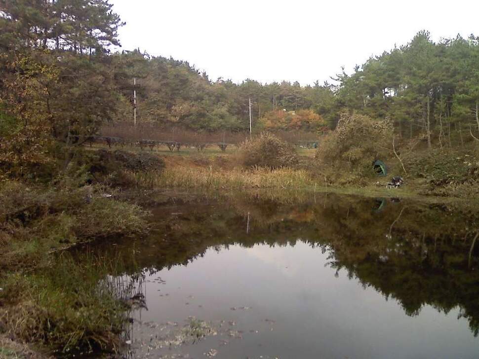 _사진091108_011_johwang08272146.jpg