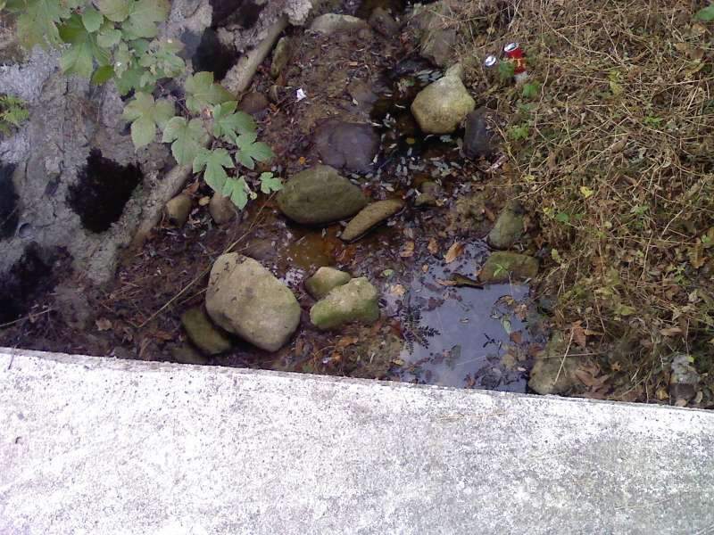 _사진091108_018_johwang08393369.jpg