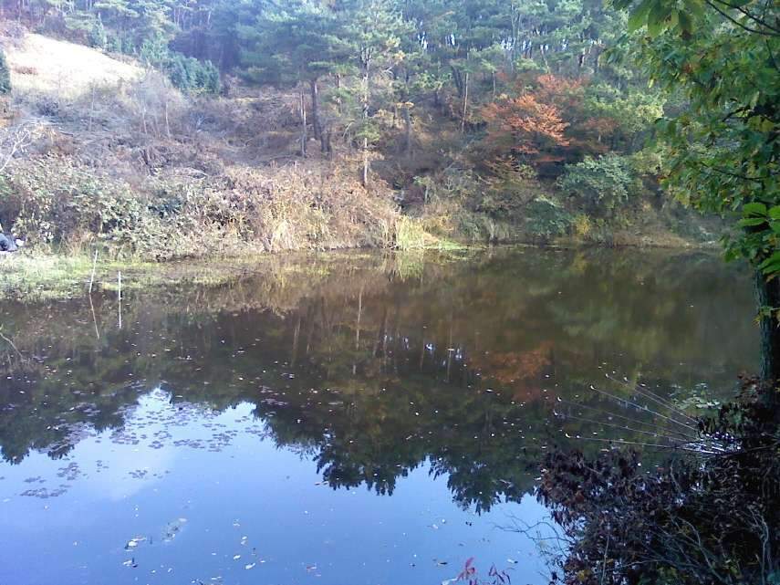 _사진091108_025_johwang08475333.jpg