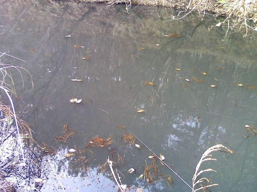 _사진091223_025_johwang0148512.jpg