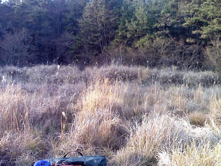 _사진091223_032_johwang01520844.jpg