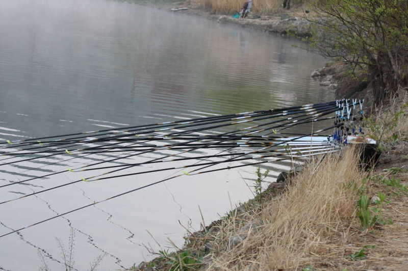 _IMG_3656_johwang08494662.jpg
