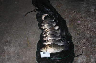 _IMG_7834_johwang12125259.jpg