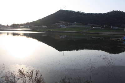 _IMG_7875_johwang12222093.jpg