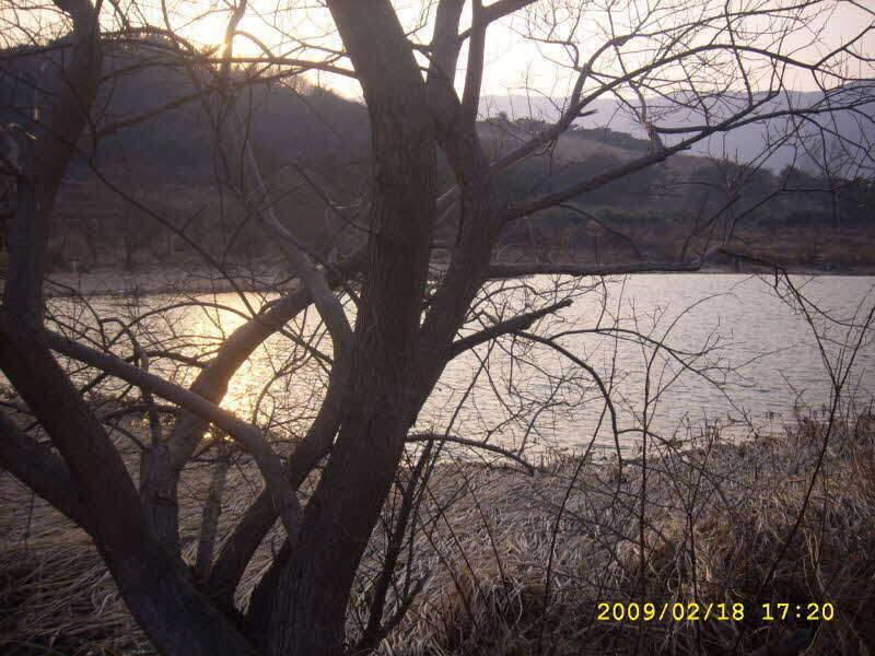 _SPA54285_johwang01334876.jpg