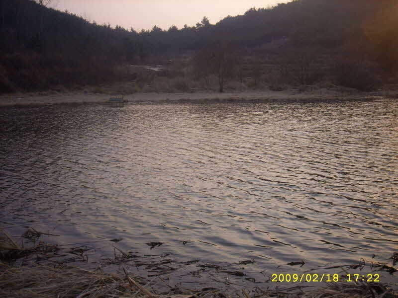 _SPA54295_johwang01480228.jpg