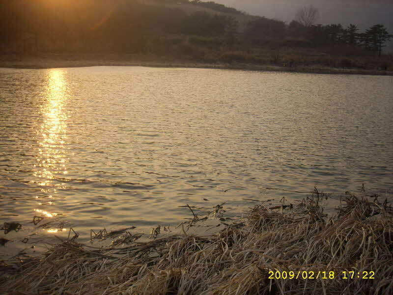 _SPA54296_johwang01481111.jpg