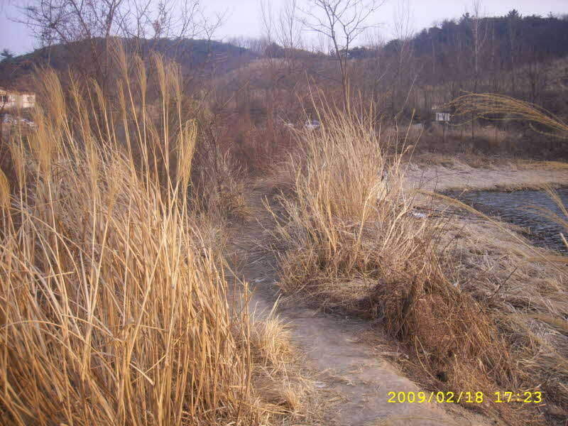 _SPA54300_johwang01484552.jpg
