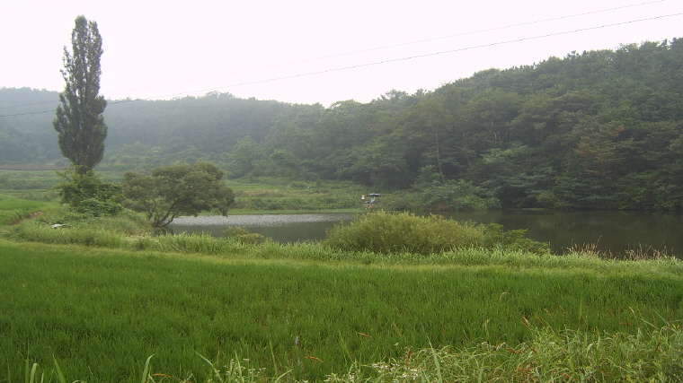 (소류지우측)_johwang0815065.jpg