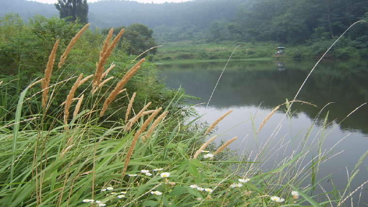 (우안)꽃_johwang08152365.jpg