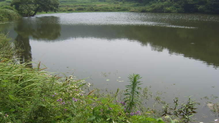 (좌안)_johwang0815501.jpg