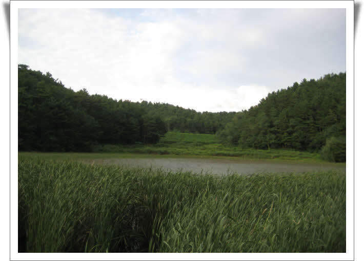 1황새못전경_johwang02295081.jpg