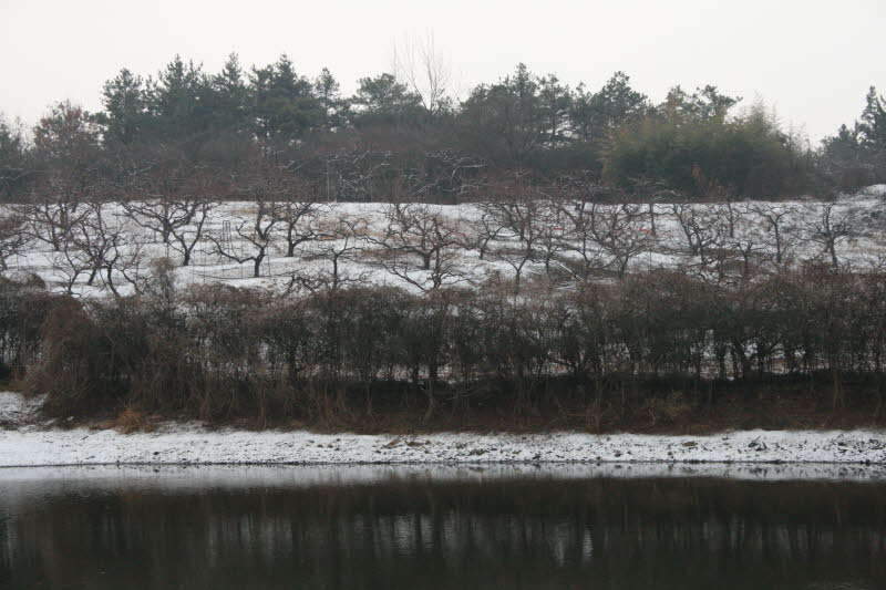 2009년2월19일 극동카뒷못-051_joh