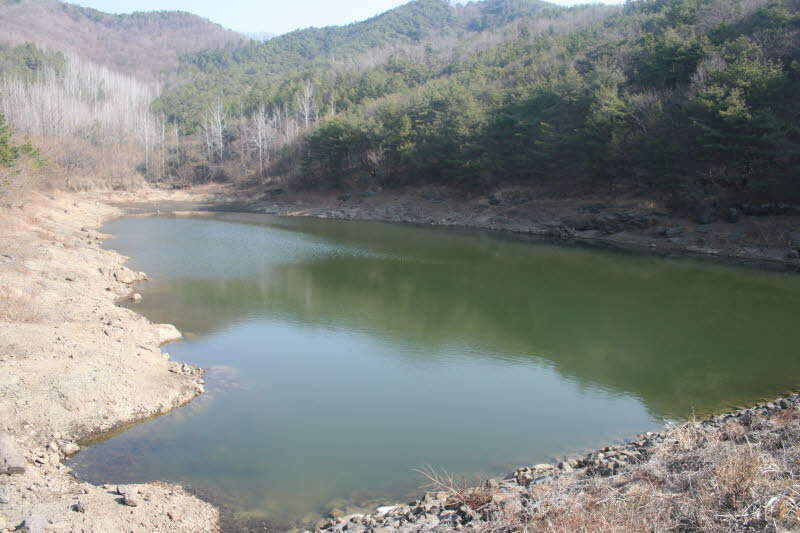 2009년2월28일 청도 명대지-039_jo