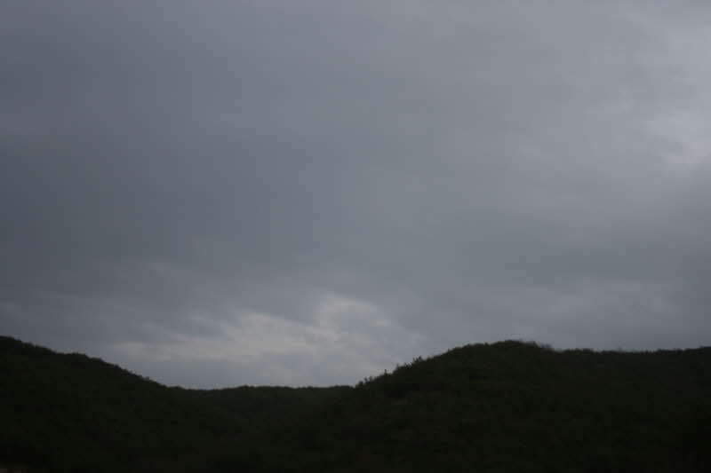 2009년3월21일 의성 자포골못-006